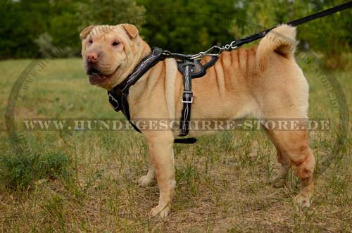 Sharpei Harness K9 Exclusive 