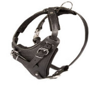 Mantrailing Dog Harness for Medium-Large Dogs, Protection K9