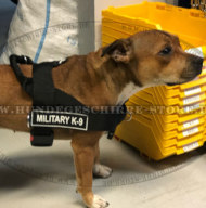 Staffordshire Bullterrier Tracking Dog Harness of Nylon