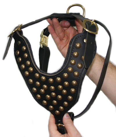 Studded leather harness