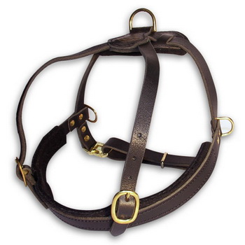 Leather dog harness