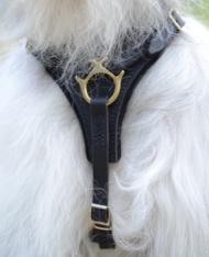 Hundegeschirr Leder für Südrussischen Owtscharka, solid