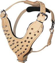 Leder Hundegeschirr mit verchromten Stahl-Spikes, tan