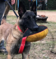 Weiches Beissspielzeug für Malinois Hund