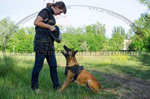 Vest for Dog Sport and Training