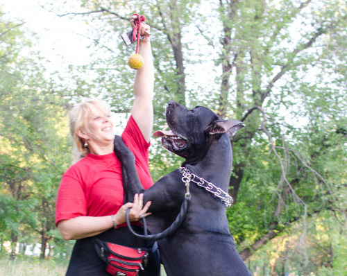 Gummiball mit Schnur für Hundeaktivitäten