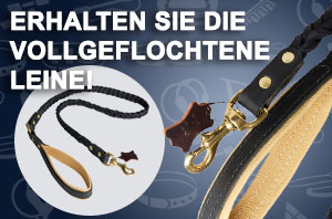 Hundeleine aus Leder mit Messing Karabiner