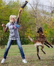 Beißkissen für Schäferhund, große Beisswurst