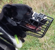 Starker hochwertiger Draht Maulkorb mit Handschuhleder-Polsterun