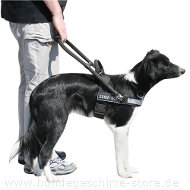 Blindenführhundgeschirr für Border Collie Superangebot!