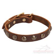 pet Leather Collar narrow