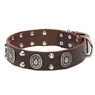 DECORATED leather collar
brown buy