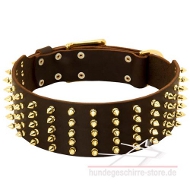 Breites Hundehalsband aus Leder mit Spikes