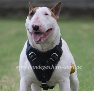 Bullterrier Gepolstertes Geschirr 4fach Verstellbar!