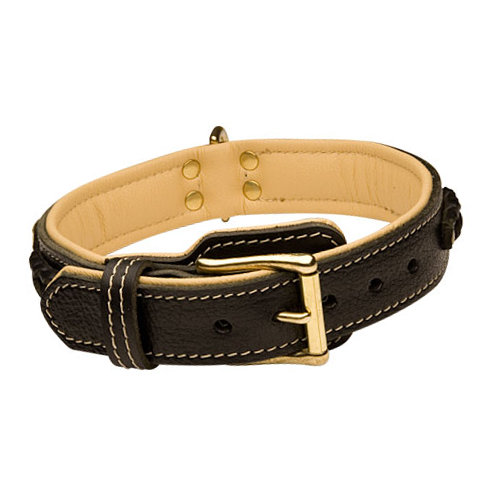 dog collar leather