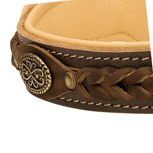 leather dog collar with braided design