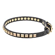 Buy adorned collar leather narrow