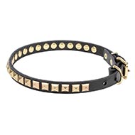 https://www.hundegeschirre-store.de/images/design-lederhalsband-hunde-messing.jpg