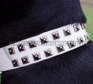 Hundehalsband Leder Weiß | Dobermann Halsband Weiß Luxus Hundehalsband Leder Weiß | Dobermann Halsband Weiß Luxus