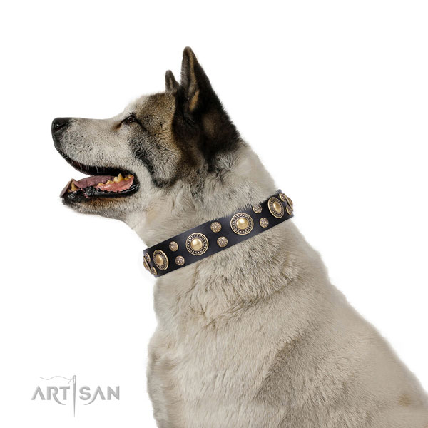 Akita Inu Hundehalsband kaufen