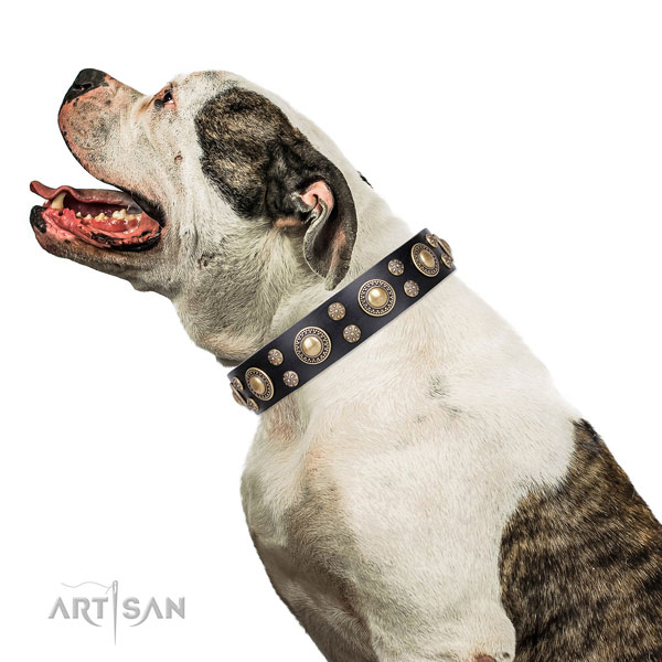 Hund Halsband für Amerikanische Bulldogge Hund