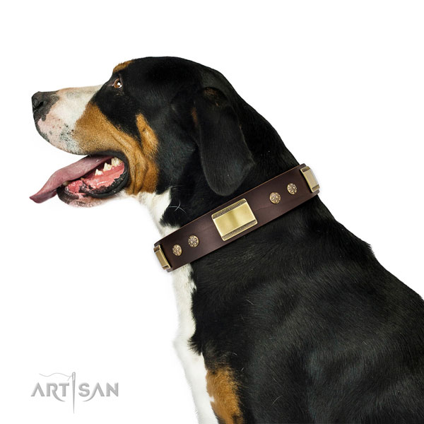 Hund Halsband für Berner Sennenhund Hund