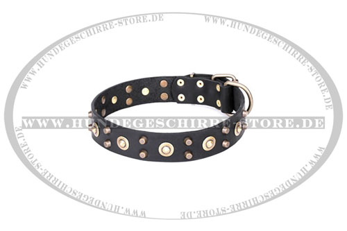 Leder Halsband für Hunde online kaufen