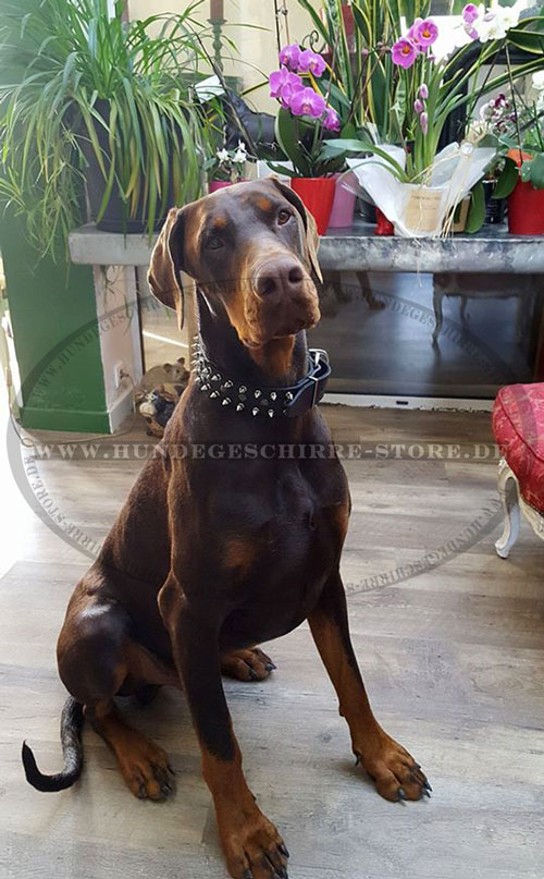 Handgefertigtes Dobermann
Hundehalsband Leder