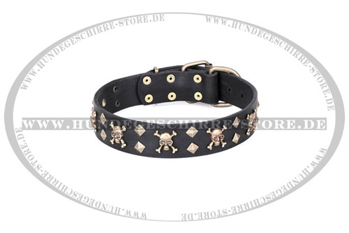 Leder Halsband für Hunde online kaufen