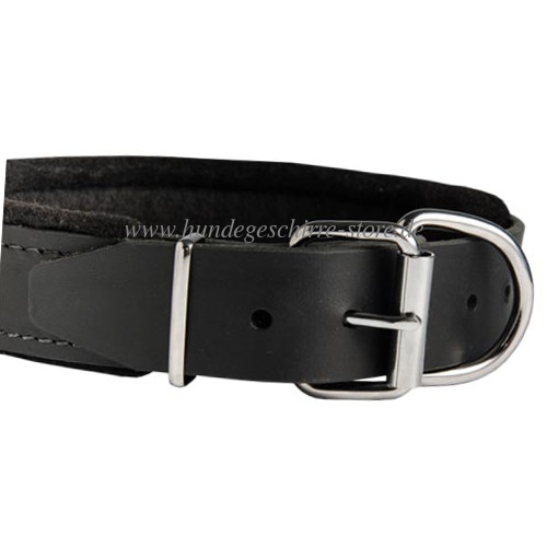 Halsband Leder Gepolstert