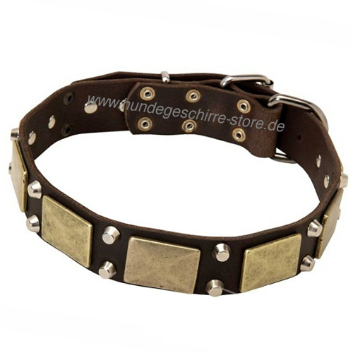 Halsband Leder, Laika