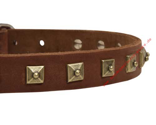 Schmales elegantes Hundehalsband fuer Laika optimal Leder mit golden Nieten