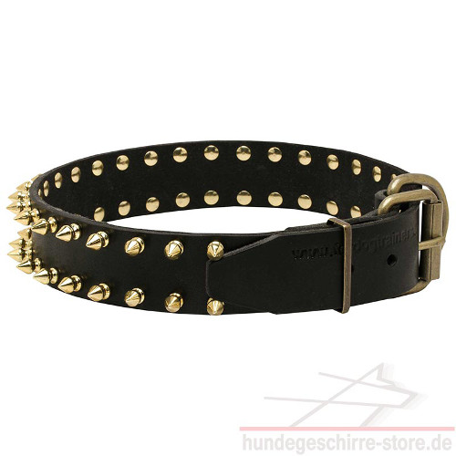 Hunde Halsband, Design mit Messing-Spikes