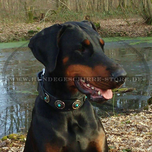 Doberman Hundehalsband mit Steinen 