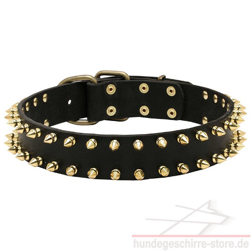 Leather Collar with Brass Spikes