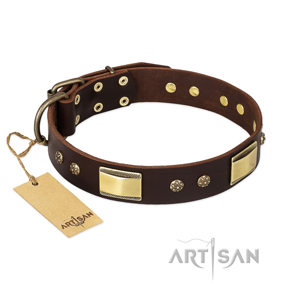 Halsband Leder für Hunde, luxus