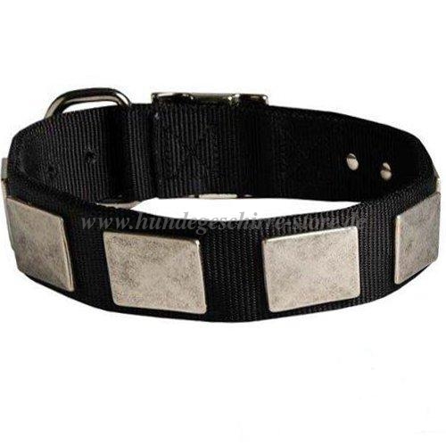 Nylon Halsband mit Reihe von Platten für sennenhund
kaufen