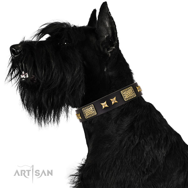 Hund Halsband für Riesenschnauzer Hund