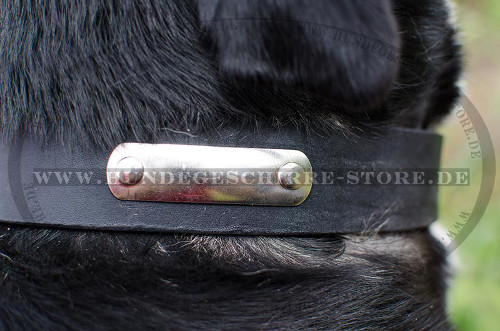 Swiss Mountain Dog Collar with Name Plate of Steel