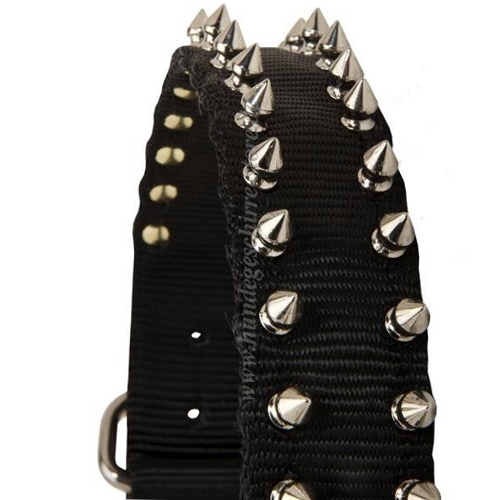 Hunde Nylonhalsband mit Spikes kaufen