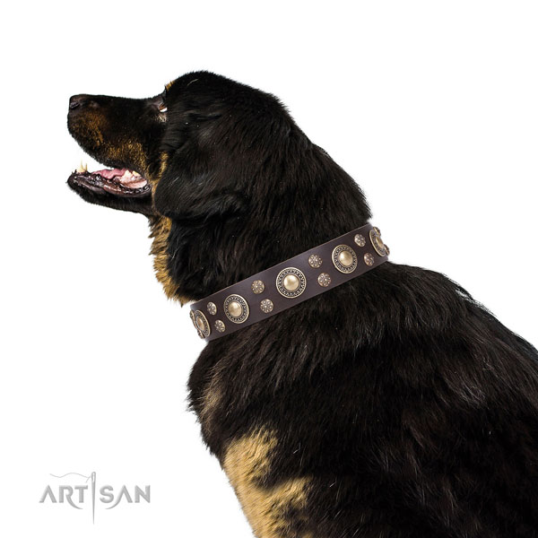 Hund Halsband für Tibetischen Mastiff Hund