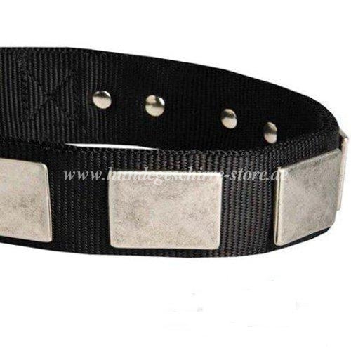 nylon Hundehalsband Platten 2020