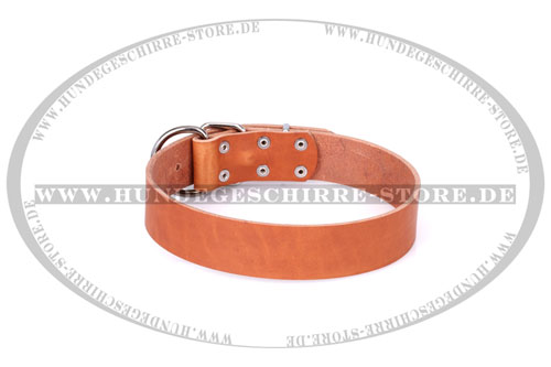 Feines
Leder Hundehalsband