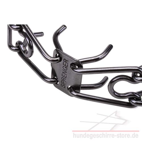 Stacheln für Halsband