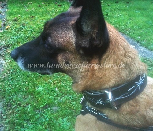 malinois halsband bemalt berlin