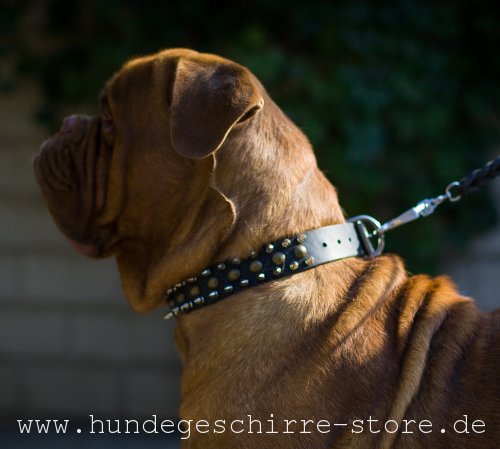 Leder Hundehalsband mit Schmucke 