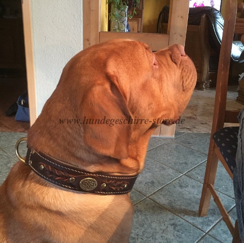 lederhalsband nappa gepolstert boerboel kaufen