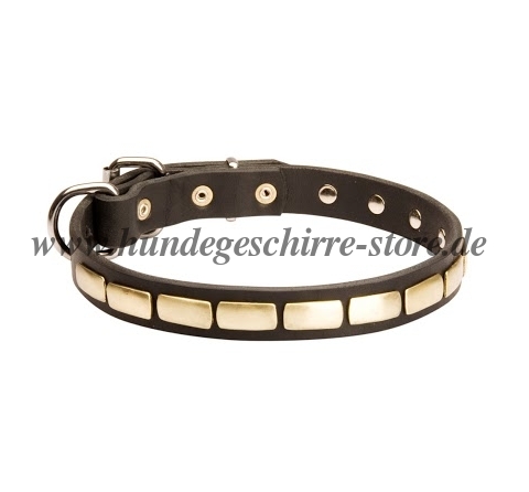 Lederhalsband mit Platten kaufen