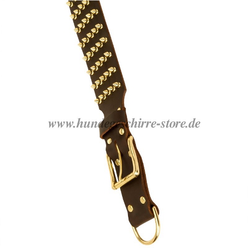 wide collar jewelry for dogs