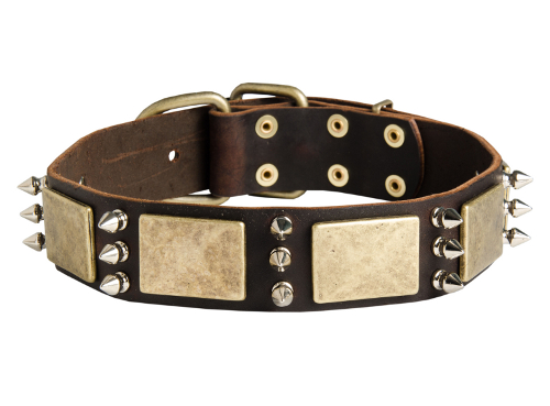 Leder Halsband, vernietet